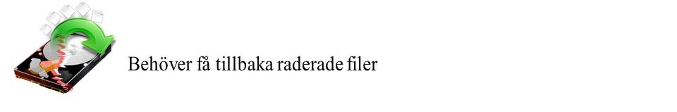 behöver få tillbaka raderade filer
